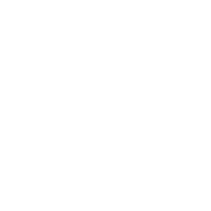 Apis Logo
