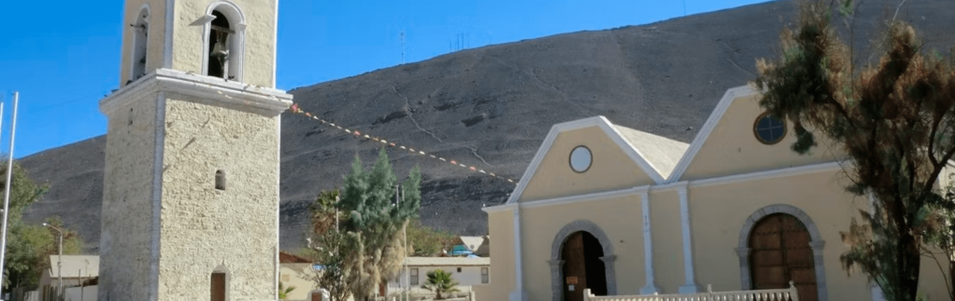 Apis Región De Tarapacá
