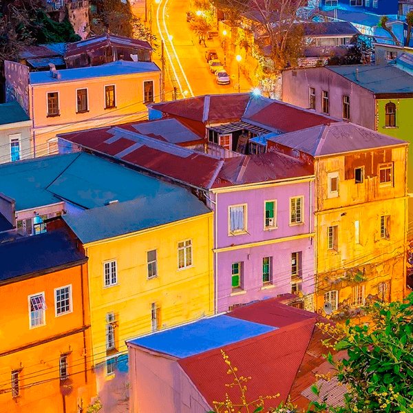 Apis Región De Valparaíso