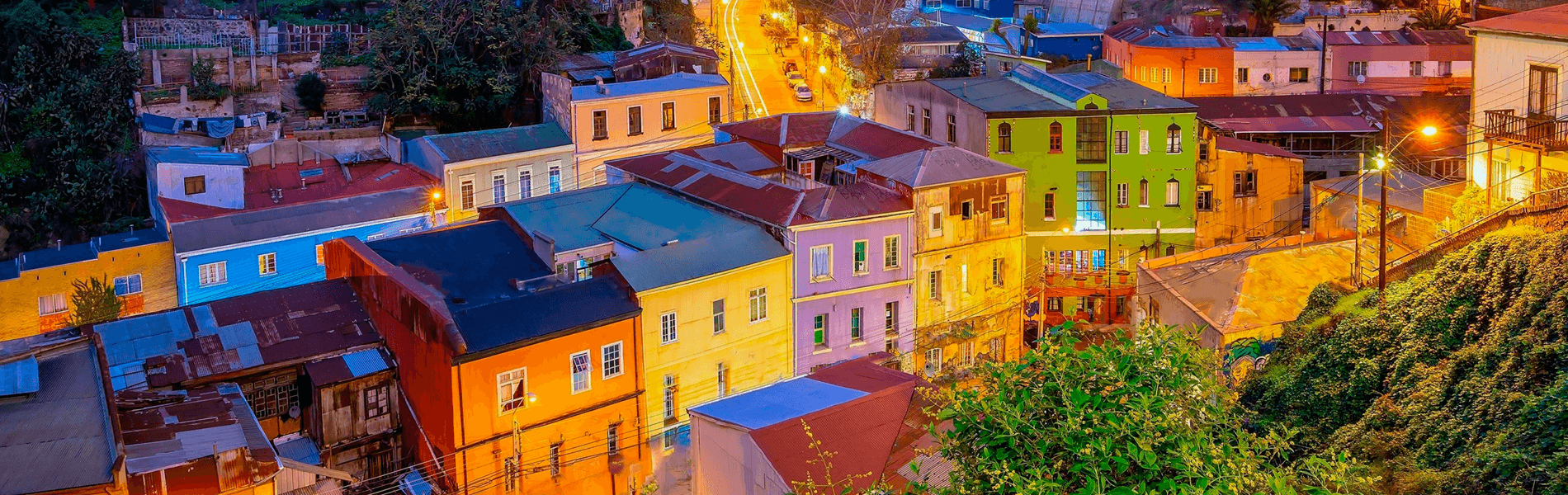 Apis Región De Valparaíso