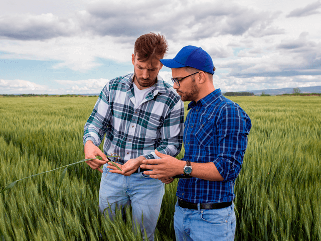 Capacitación a pequeños y medianos agricultores