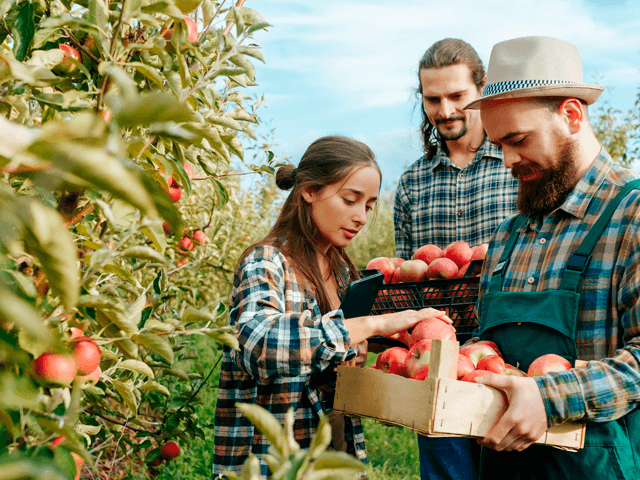 Curso y Capacitación de Agricultura Integral (De la Semilla al Mercado)