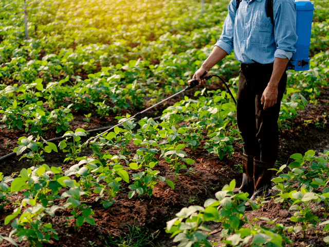 Curso y Capacitación sobre Fertilizantes